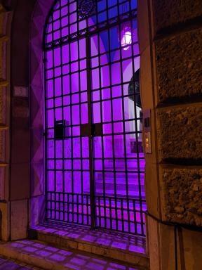 PALAZZO FIACCADORI - Historical Palace - Housity