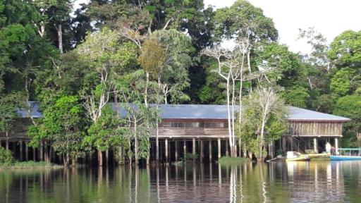 AMAZONAS RESERVA Yavary Tucano - Housity