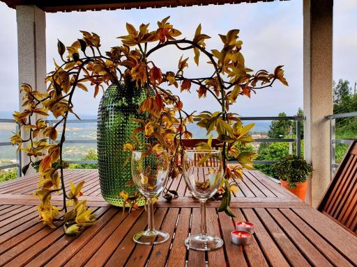 Casa de campo com vista a montanha - Housity