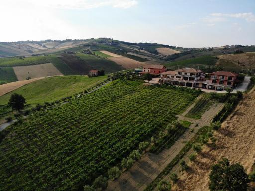 Agriturismo Emidio Pepe - Housity