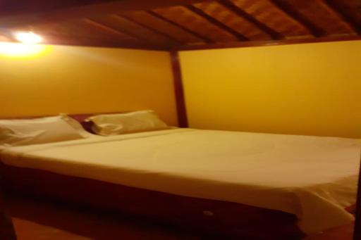 Cocoa Garden Homestay - Housity
