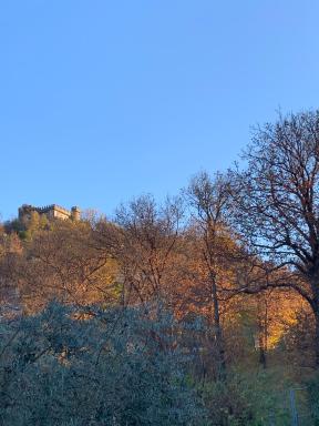 Appartamento Girasole - Housity