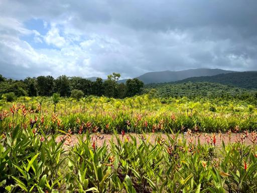 The Postcard Hideaway, Netravali Wildlife Sanctuary, Goa - Housity