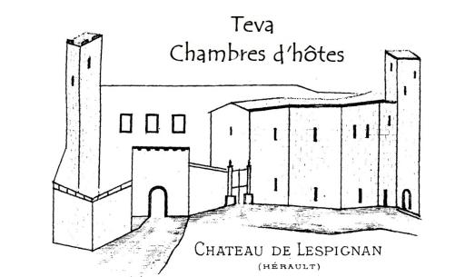 Teva - Housity