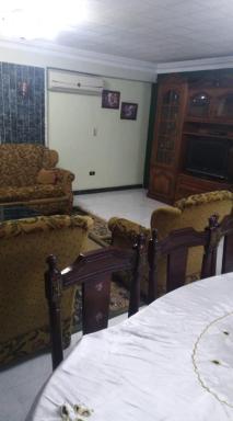Fully furnished luxurious apartment in the center of new cairo - Housity