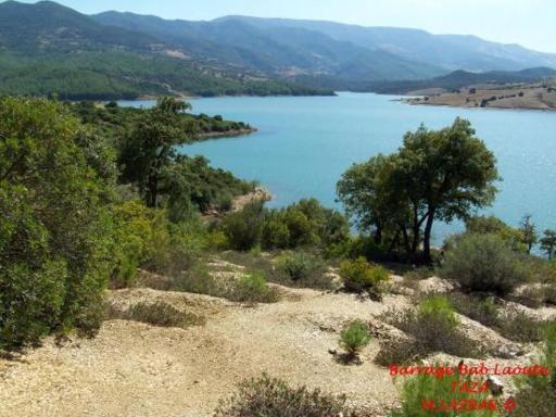 Appartament montazah - Housity