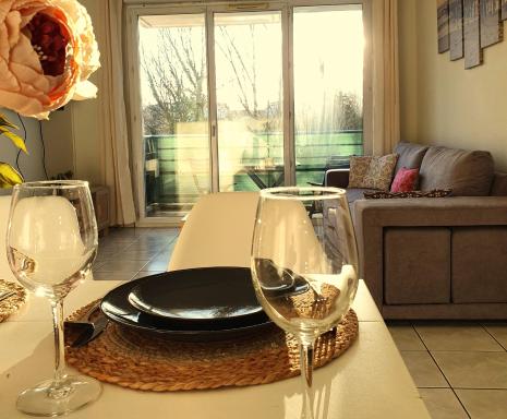 Appartement Colomiers belle vue proche des commodités Airbus Toulouse - Hizvo