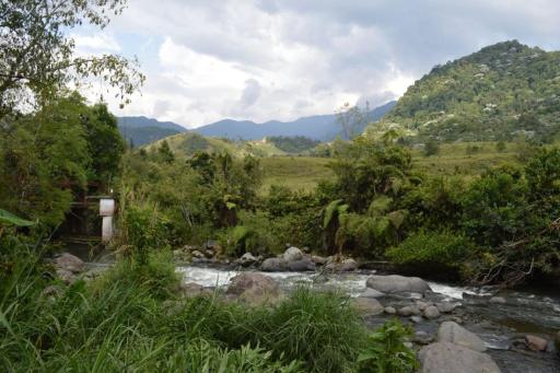 Cabañita El Congolo- - Housity