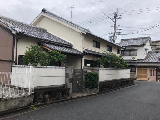 仔鹿 kojika - Housity