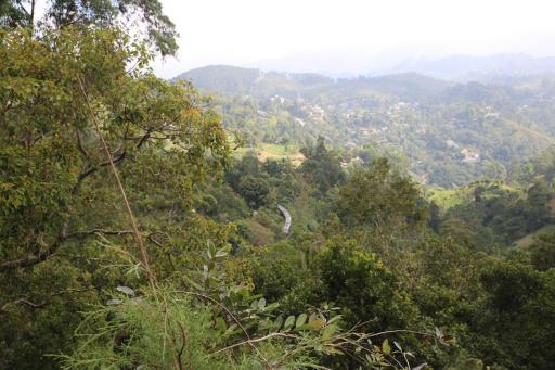 Hotel Wild Freedom - Housity