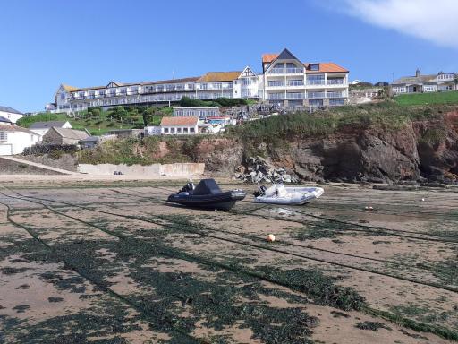 The Cottage Hotel - Housity