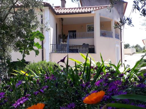 Casa dos Amigos - Housity