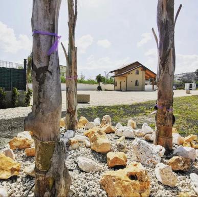 Amy Dreams - Housity