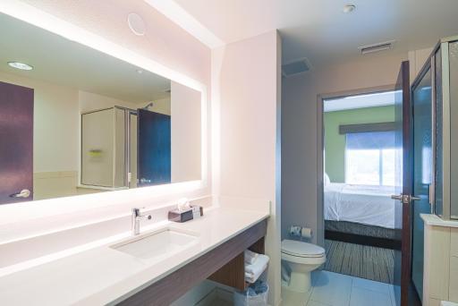 Holiday Inn Express Hotel & Suites Tampa-USF-Busch Gardens, an IHG Hotel - Housity
