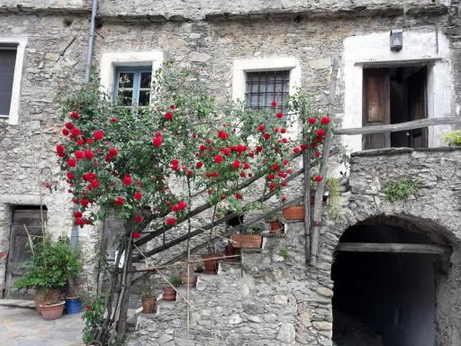 La Garbatella - Housity