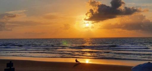 Casas Pé na Areia - Vista Mar - Housity