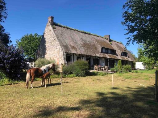 Chaumière authentique - Housity