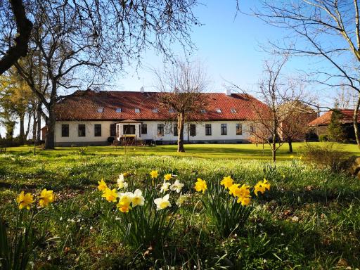 Folwark Gościno-Dwór - Housity