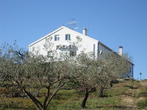 Monte de Stª Margarida II - Housity