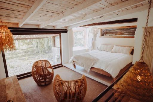 Ginger and Coco - Housity