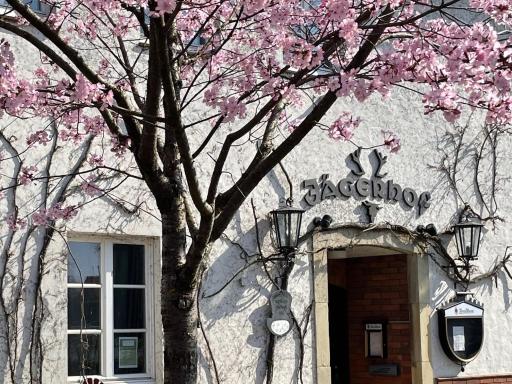 Hotel Jägerhof - Housity