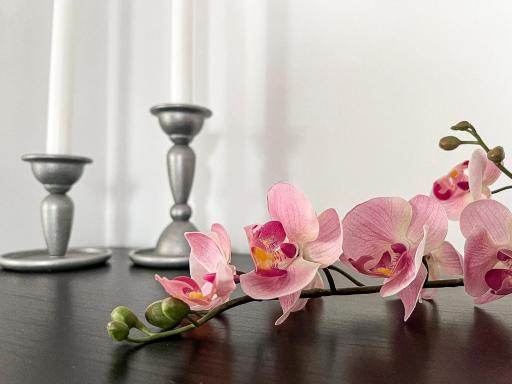 Lovely 1 bedroom rental apartment in Otopeni - Housity