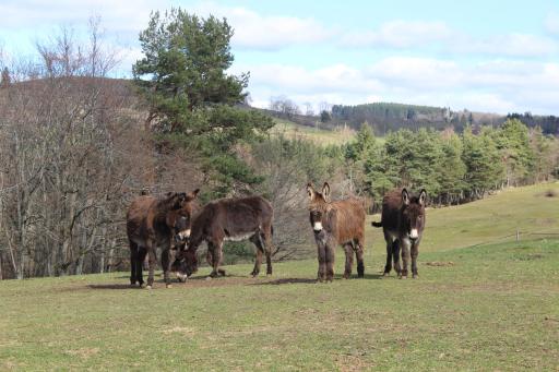 gite à la ferme - Housity