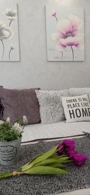 Apartman Harmonija Vrnjačka Banja - Housity