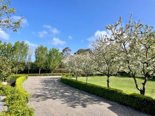 Farm Stay POPLAR Cottage at Wilindi Estate - Housity