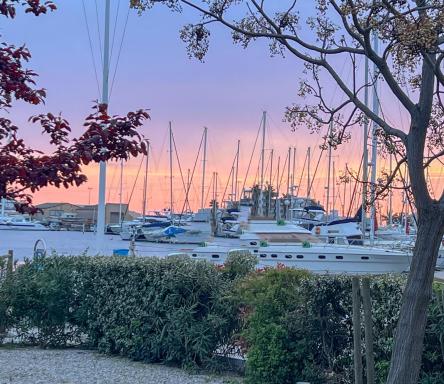 Superbe, face aux bateaux - 2ch + jardin - marina - Housity