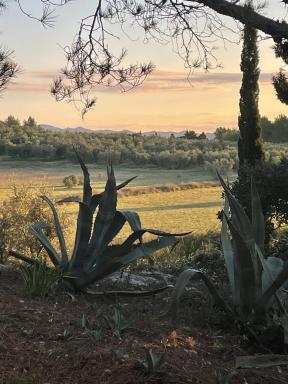 Mas des Alpilles au cœur de la nature avec piscine - Housity