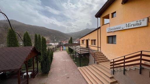 Pensiunea Miruna Slănic Moldova - Housity