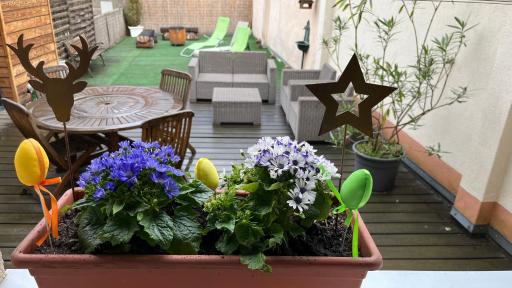 Gite Edelweiss à Eguisheim - Hizvo