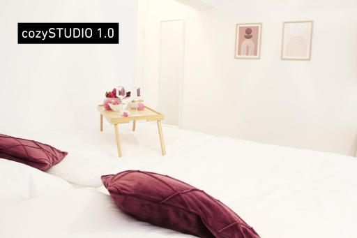 SECRET HIDEAWAYS cozySTUDIO 2 superior Apartment mit WiFi nahe Uni l Messe l Flughafen l Zoo - Housity