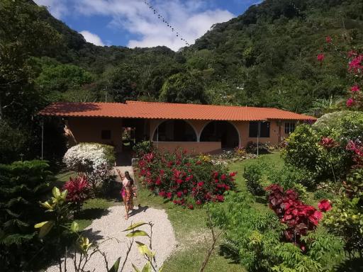 El Zumbito - Housity
