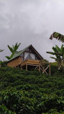 Glamping Jericó - Housity