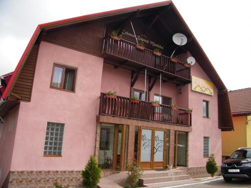 Pensiunea Bujor de Munte - Housity
