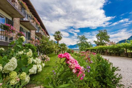 Pension Zeder - Housity