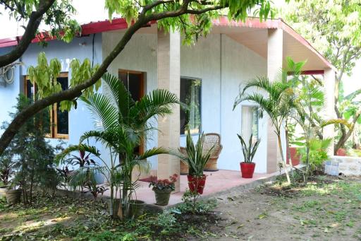 The TreePie Corbett - Housity