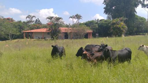 Fazenda Deussol - Housity