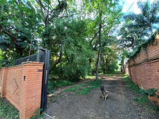 Parana Riverside Guest House - Posadas - Housity