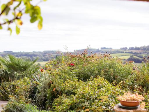 Honeysuckle Cottage - Housity