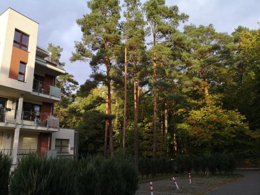 Nadmorski apartament w lesie - Housity