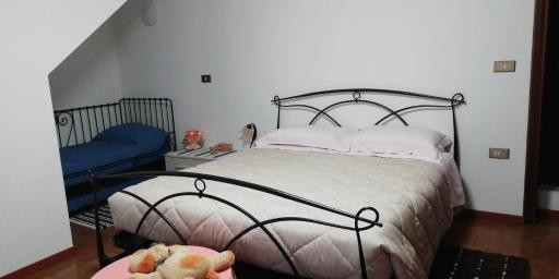 Il canto dei galli - Housity