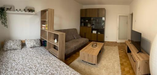 Apartment Ana Milena - Housity