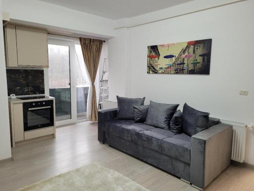 Balada Apartment Suceava - Hizvo