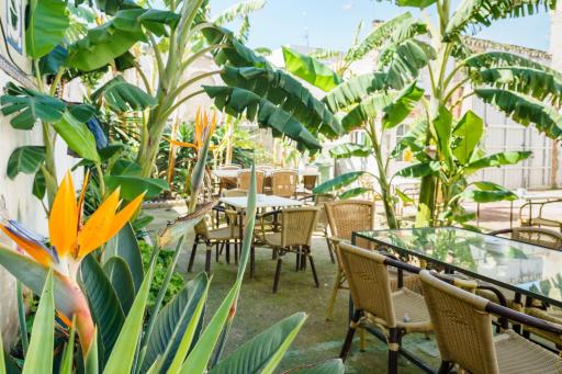 Hotel Carlos V Jerez by Vivere Stays - Housity