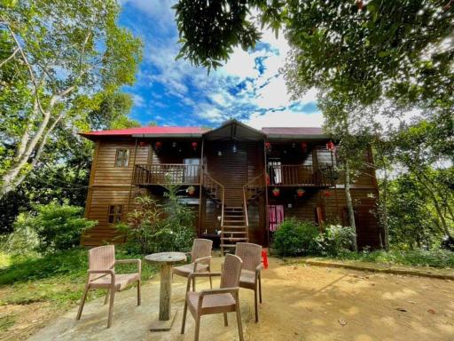 Jungle cottage - Hizvo