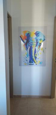 Mendoza camino del vino - Housity