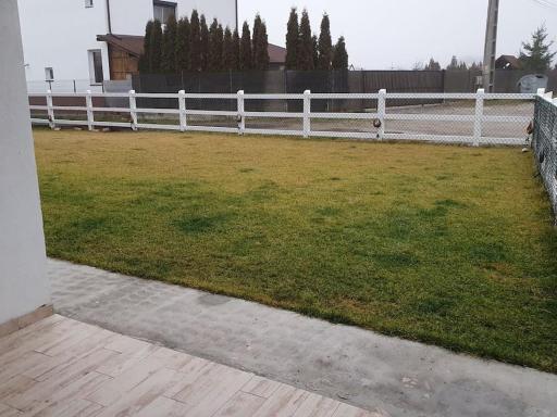 Lovely and Cozy House Apartment with a nice yard - Housity